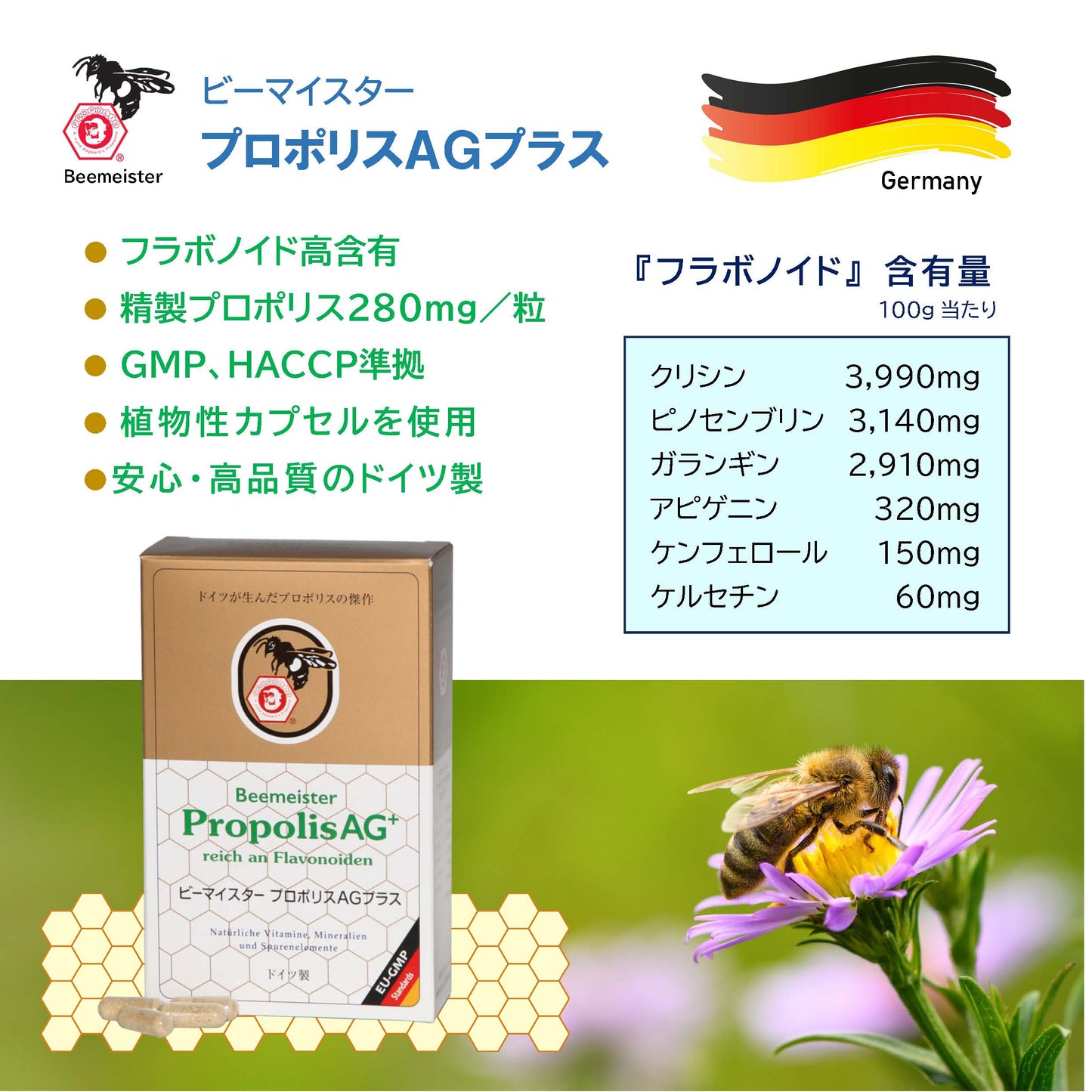 ビーマイスター プロポリスAGプラス 120粒 アーガード フラボノイド Beemeister